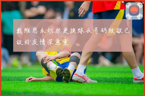 戴维恩米切尔更换球衣号码致敬已故好友情深意重