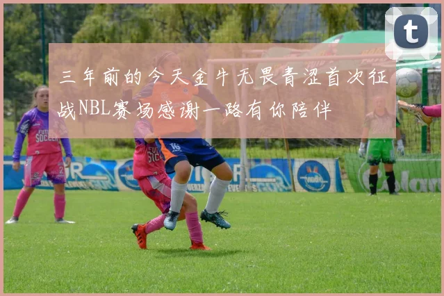 三年前的今天金牛无畏青涩首次征战NBL赛场感谢一路有你陪伴